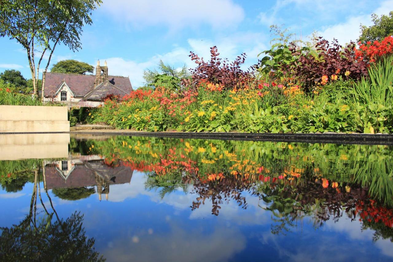 June Blake'S Garden Blessington Zewnętrze zdjęcie