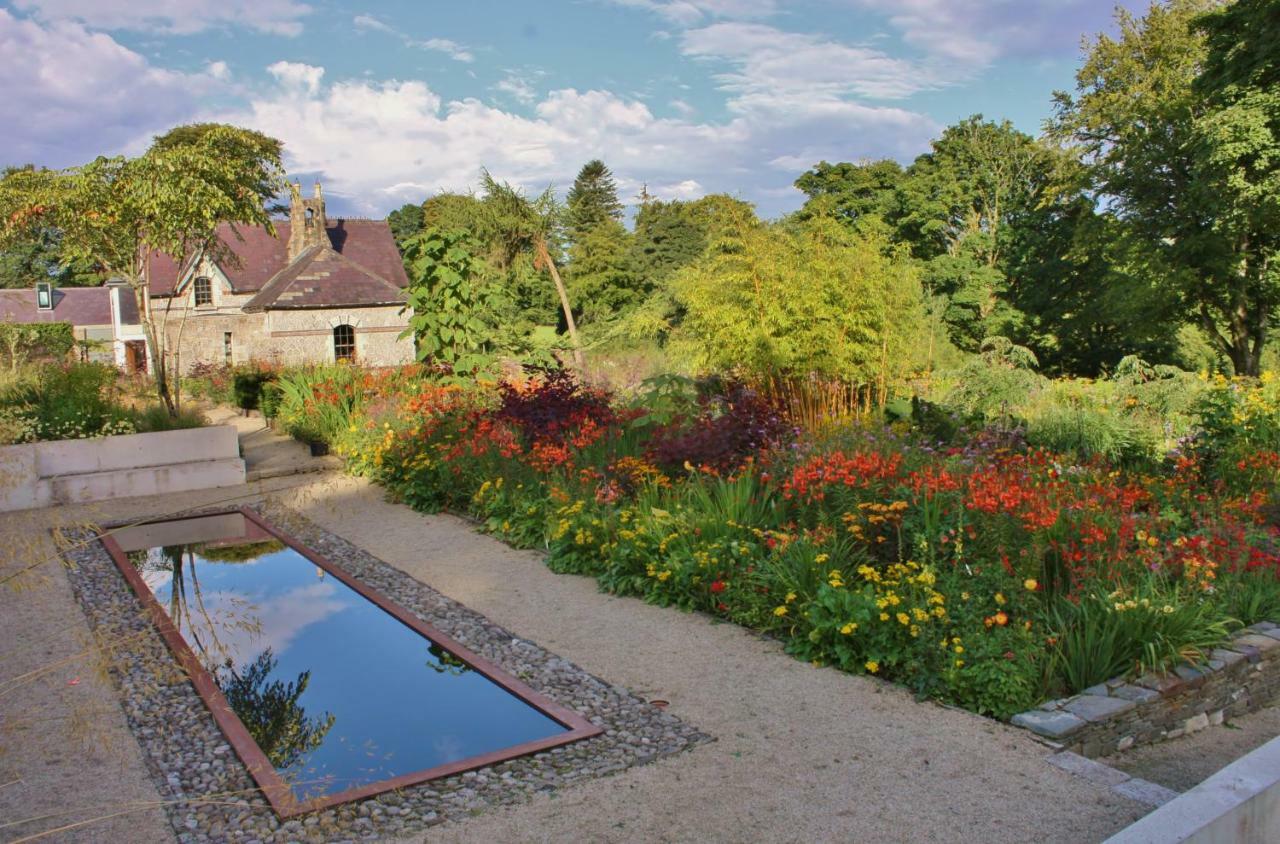 June Blake'S Garden Blessington Zewnętrze zdjęcie
