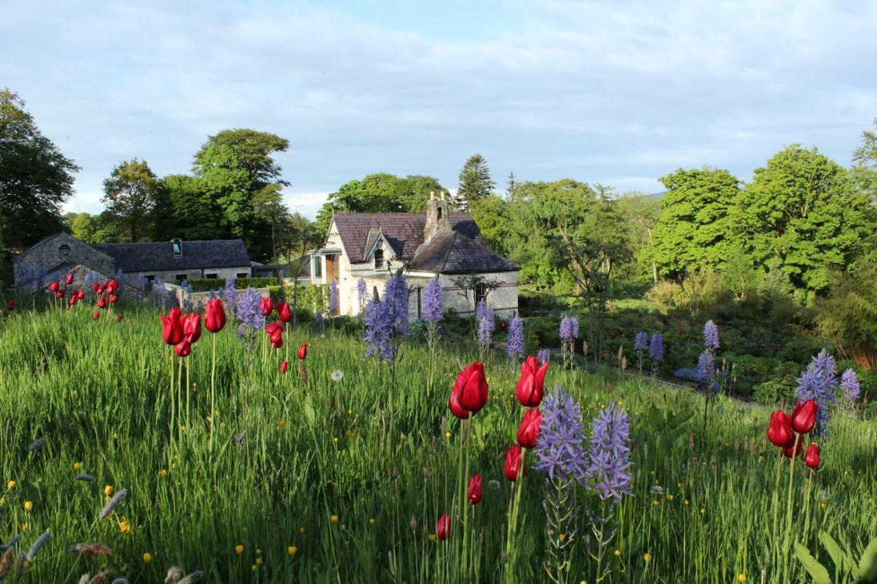 June Blake'S Garden Blessington Zewnętrze zdjęcie