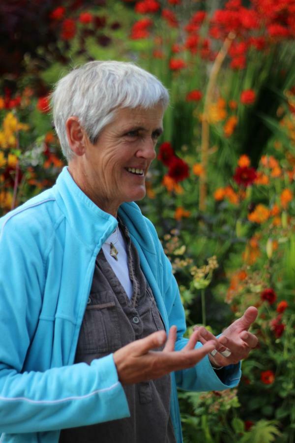 June Blake'S Garden Blessington Zewnętrze zdjęcie